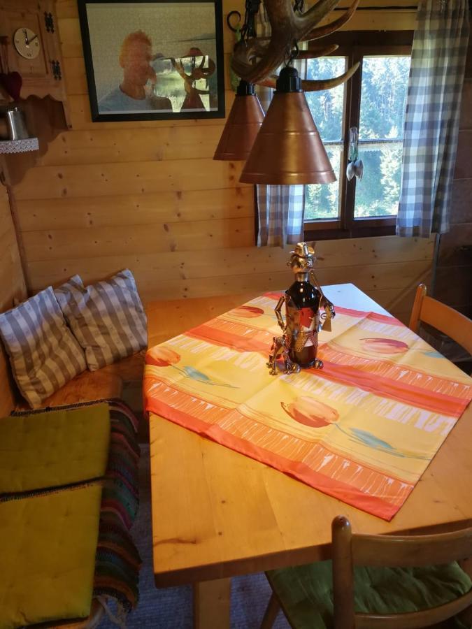 Willa Almhuette Andrea Wildschoenau Zewnętrze zdjęcie