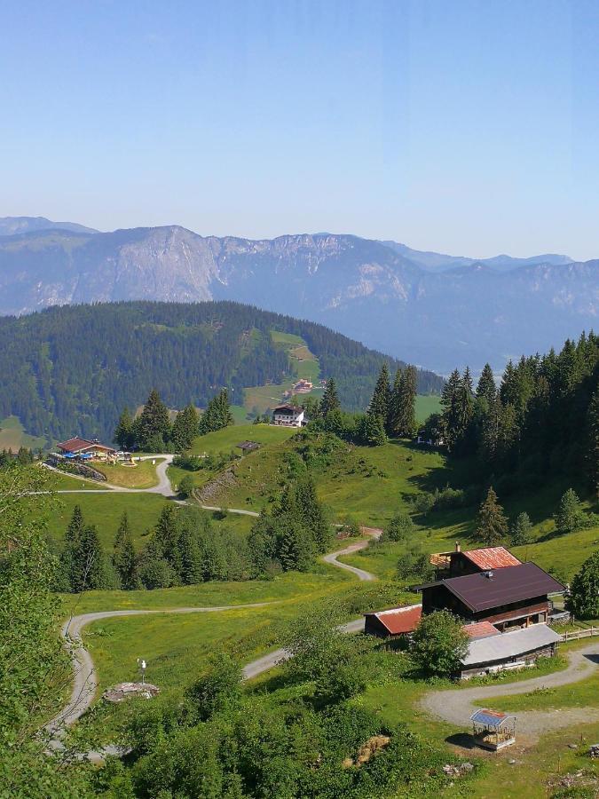 Willa Almhuette Andrea Wildschoenau Zewnętrze zdjęcie